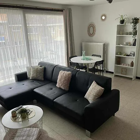 Appartement Met Zonnig Terras Ostende